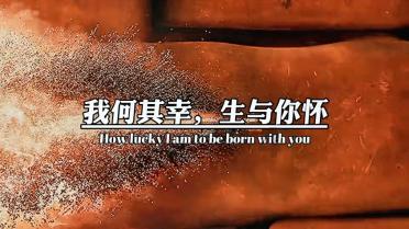 细胞分裂6